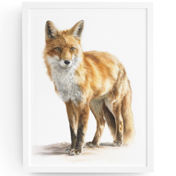Creative Path Studios Other - Watercolor Red Fox Wall Art Print, Unframed - Captivating Woodland Elegance